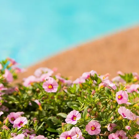 Neikos Mediterraneo Luxury